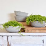 DIY Concrete Planters