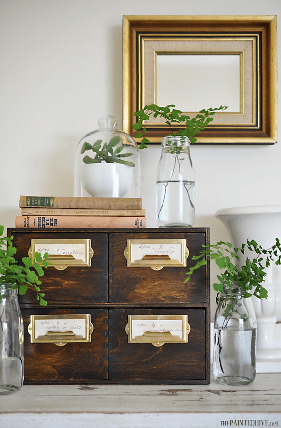 Card File Drawers, Fern Fronds and Glass Bottles