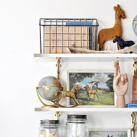 Acrylic and Brass Wall Shelves